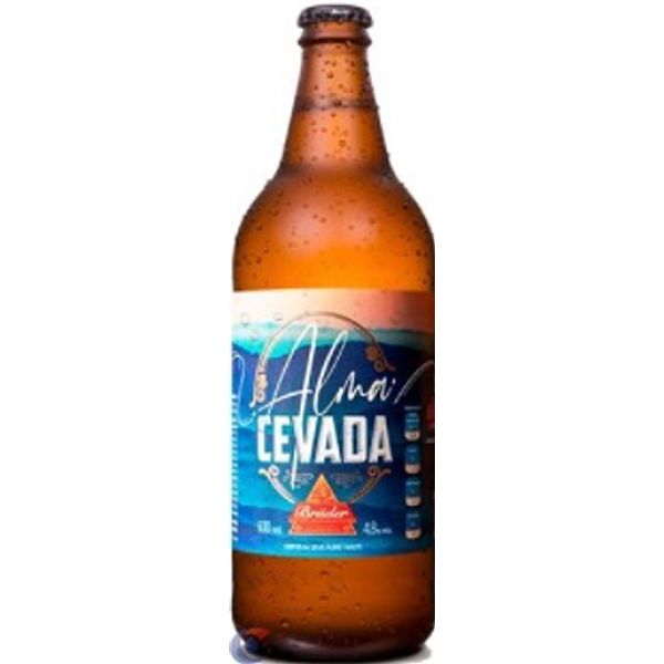 Cerveja Artesanal Bruder Alma Cevada 600ml