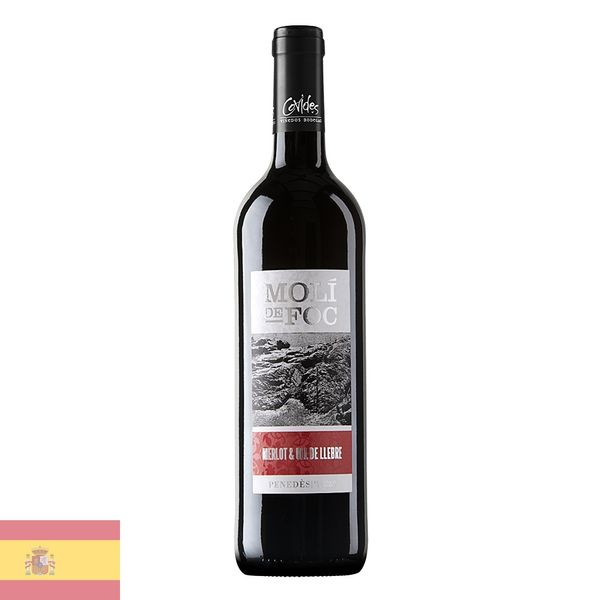 Vinho Espanhol Tinto Moli De Foc 750ml