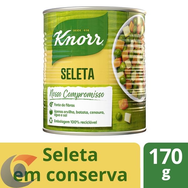 Conserva Knorr Seleta 170g