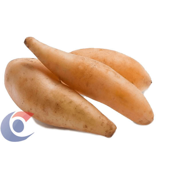 BATATA-YAKON-KG