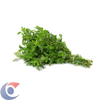 OREGANO-UN