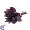 MANJERICAO-ROXO-UN