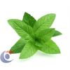 HORTELA-PIMENTA-UN