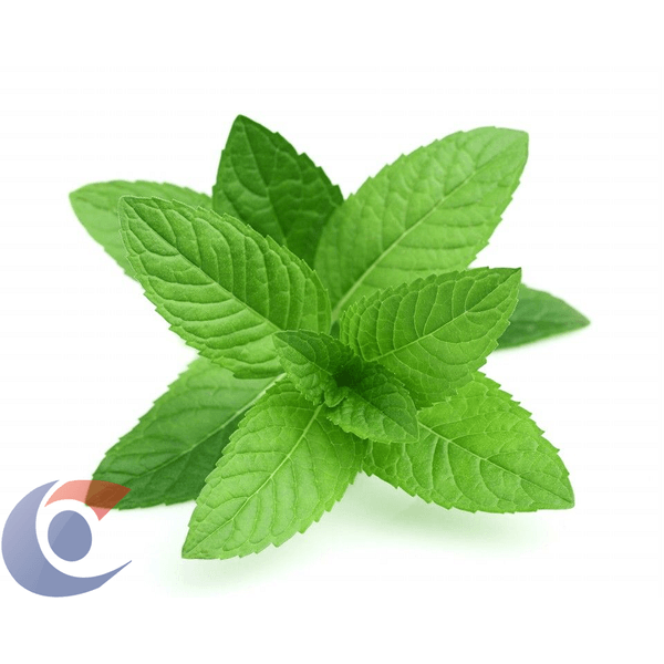 HORTELA-PIMENTA-UN