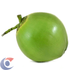 COCO-VERDE-UN