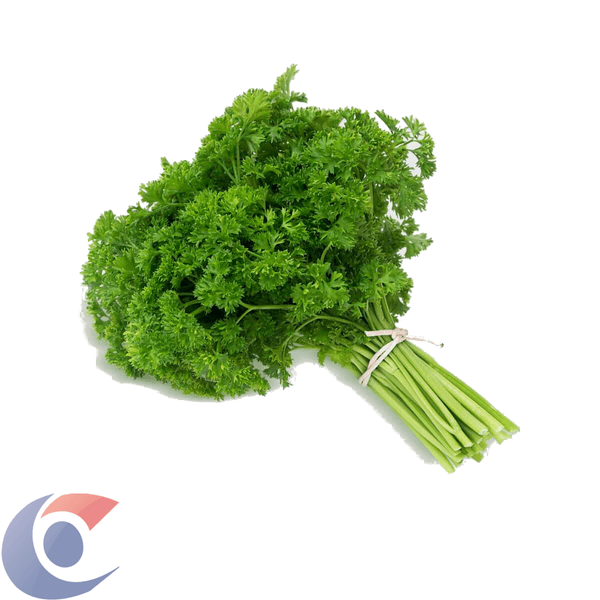 SALSA-CRESPA-UN