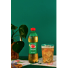 REFR-ANTARCTICA-GUARANA-600ML-PET