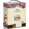 SUCO-INT-CASA-10-3L-UVA-BAG-ON-BOX