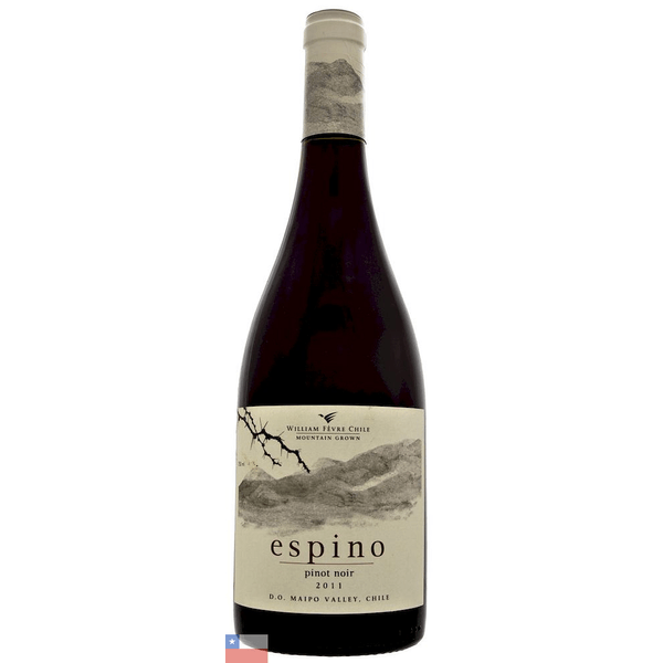 VH-TTO-CHI-ESPINO-750ML-PNOIR