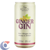 BEB-MIST-GIN-TON-EASY-BOOZ-269ML-GINGER