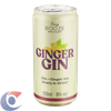 BEB-MIST-GIN-TON-EASY-BOOZ-269ML-GINGER