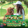 ALIM-CAES-DOG-CHOW-ADULTO-100G-FGO-SACHE