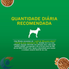 ALIM-CAES-DOG-CHOW-FILH-100G.FGO-MO-MOLHO