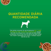 ALIM-CAES-DOG-CHOW-ADULTO-100G-CARNE-MOL-SACHE