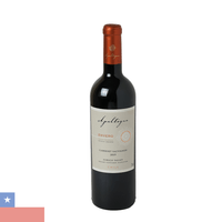 VH-TTO-CHI-APALTAG-ENVERO-750ML.CAB