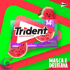 CHICLE-TRIDENT-14X252G-MELANCIA