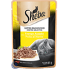 ALIM-GATO-SHEBA-AD-UMD-85G-FGO-ASSAD