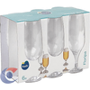 CJ-TACA-NADIR-FLORIPA-C-6-300ML