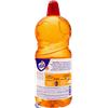 DESINF-VEJA-PETS-2L-CITRUS