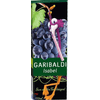 SUCO-INT-GARIBALDI-ISABEL-200ML-UVA