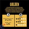 CERV-BADEN-GOLDEN-600ML-GF
