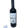 VH-TTO-URUG-COLINA-SUENOS-750ML-TANN