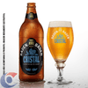 CERV-PILS-BADEN-GF-600ML.CRISTAL