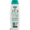 SH-PALMOLIVE-NAT-350ML-CACH-LIV-COCO