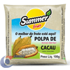 POLPA-CONG-SUMMERFRUIT-100G-CACAU