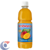 SUCO-CONC-IMBIARA-500ML-MAN