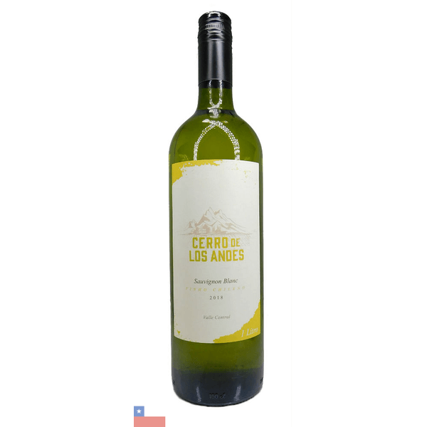 VH-BCO-CHI-CERRO-LOS-ANDES-1L.SAUV