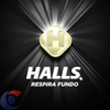 DROPS-HALLS-21X275G.EX-FORTE