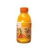 SUCO-REFRESCANTE-500ML