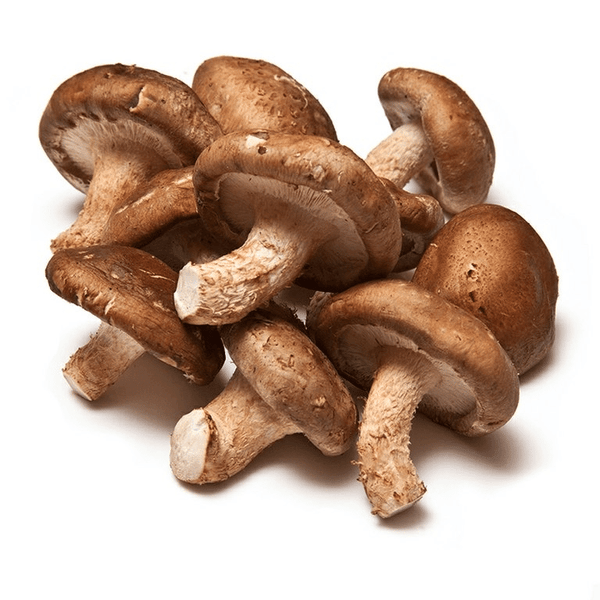 COGUMELO-SHITAKE-KG