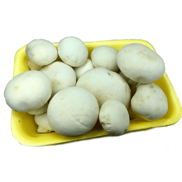 COGUMELO-FRESCO-PARIS-KG