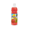 SUCO-CONC-INT-SUMMER-FRUIT-1L-GOIABA