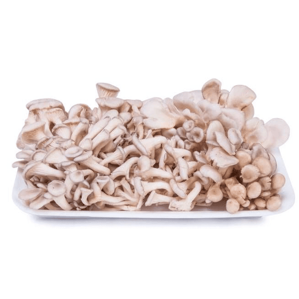 COGUMELO-FRESCO-SHIMEJI-200G