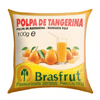 POLPA-CONG-BRASFRUT-100G-TANGERINA