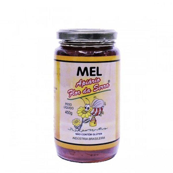 MEL-IN-NATURA-API-FLOR-DA-SERRA-450G