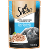 ALIM-GATO-SHEBA-AD-UMD-85G-ATUM-MAR