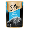 ALIM-GATO-SHEBA-AD-UMD-85G-ATUM-MAR