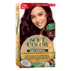 COLOR-SOFT-COLOR-35G-46-BORGONHA