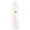 DES-FEM-AERO-A-BODY-D-DOVE-150ML-RASPHBERRY-ROSE