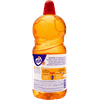 DESINF-VEJA-PETS-2L-CITRUS