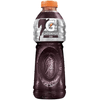 ISOT-GATORADE-PET-500ML-UVA-PET